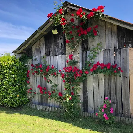 Domaine De La Moriniere Villa Commequiers Buitenkant foto
